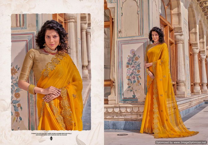 Ynf Chakra Shimmer New Designer Ethnic Wear Chiffon Latest Saree Collection